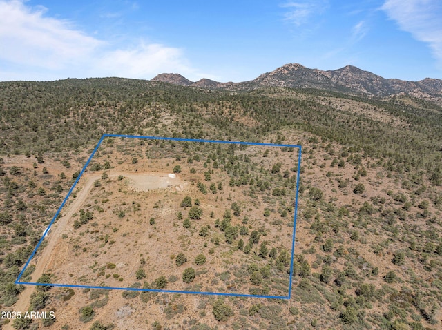001 Blue Sky Dr Unit 0, Peeples Valley, AZ 86332