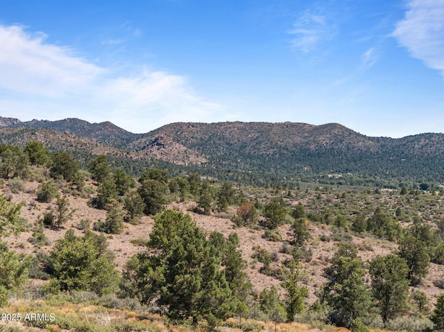001 Blue Sky Dr Unit 0, Peeples Valley, AZ 86332