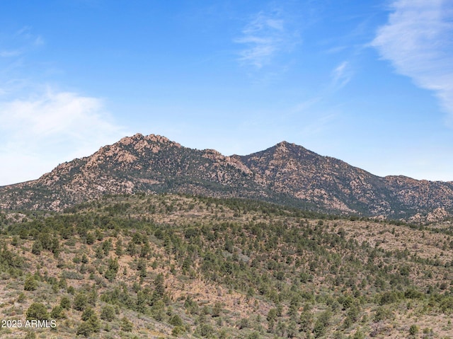 001 Blue Sky Dr Unit 0, Peeples Valley, AZ 86332