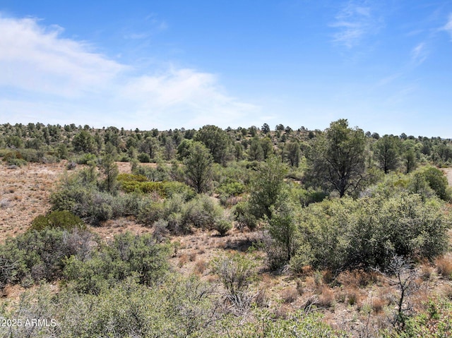 001 Blue Sky Dr Unit 0, Peeples Valley, AZ 86332