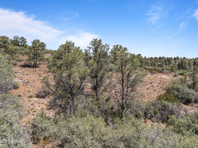 001 Blue Sky Dr Unit 0, Peeples Valley, AZ 86332