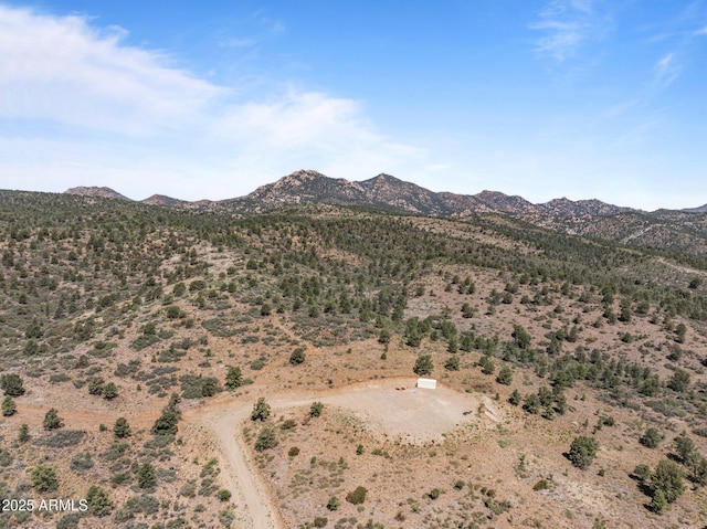 001 Blue Sky Dr Unit 0, Peeples Valley, AZ 86332