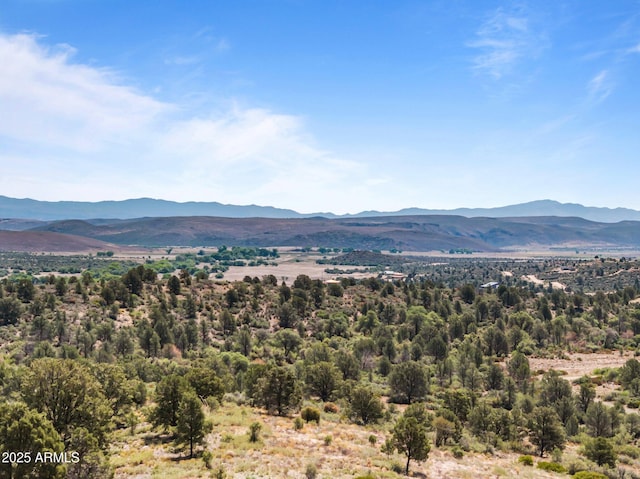 001 Blue Sky Dr Unit 0, Peeples Valley, AZ 86332