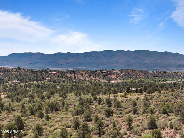 001 Blue Sky Dr Unit 0, Peeples Valley, AZ 86332