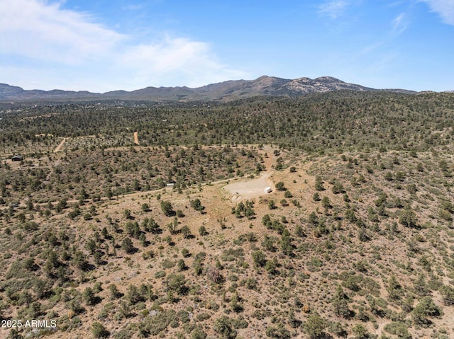 001 Blue Sky Dr Unit 0, Peeples Valley, AZ 86332