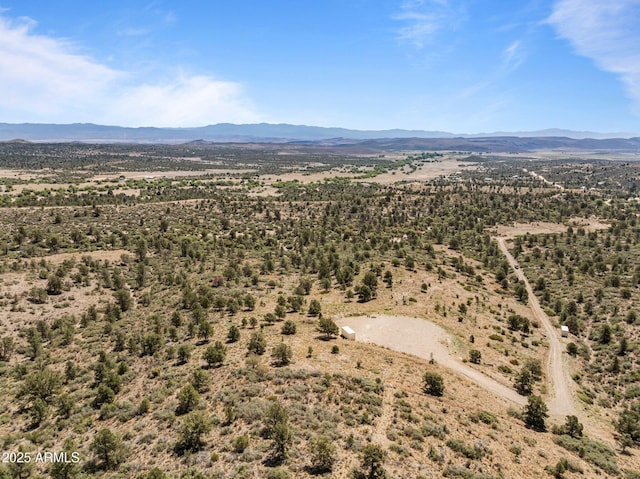 001 Blue Sky Dr Unit 0, Peeples Valley, AZ 86332