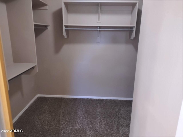 walk in closet featuring carpet