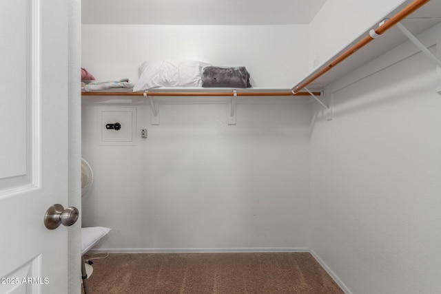 6430 E Riverdale St, Mesa, AZ 85215 - spacious closet with carpet flooring