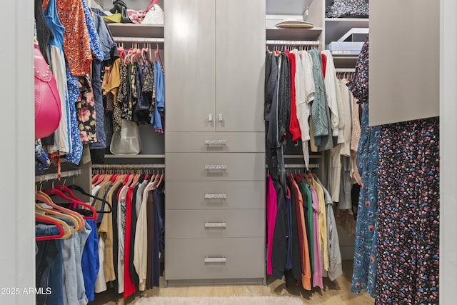 view of spacious closet