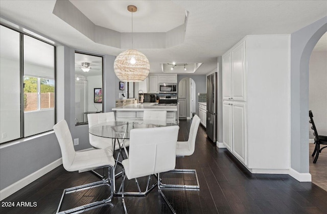 dining space featuring sink, track lighting, a chandelier, a tray ceiling, and dark hardwood / wood-style flooring