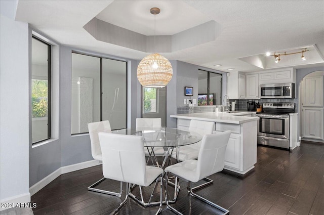 dining space with an inviting chandelier, a raised ceiling, dark hardwood / wood-style flooring, and plenty of natural light