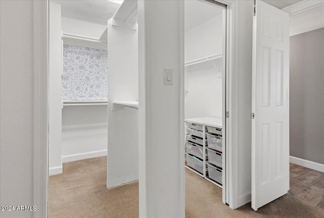 spacious closet with light carpet