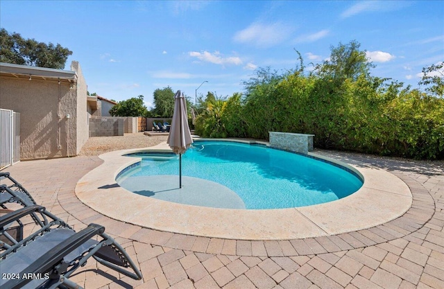 view of swimming pool featuring a patio area