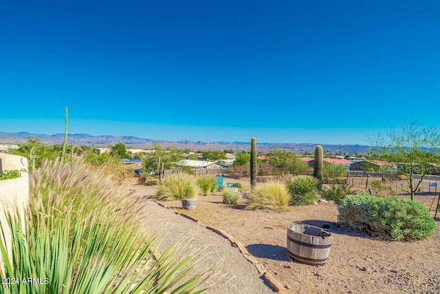 view of yard featuring a mountain view