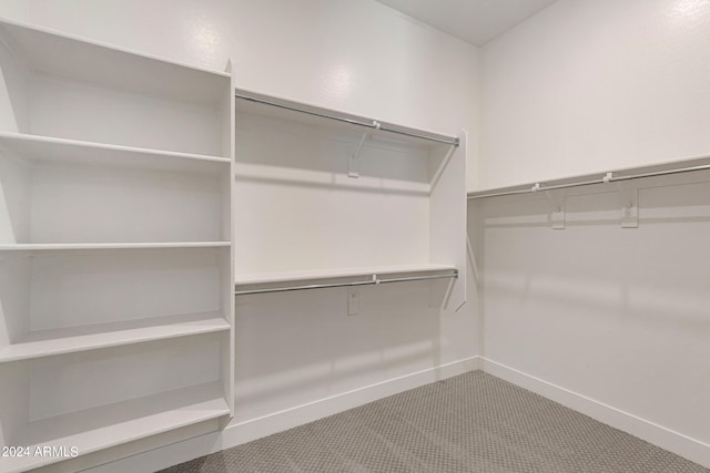 spacious closet with carpet flooring