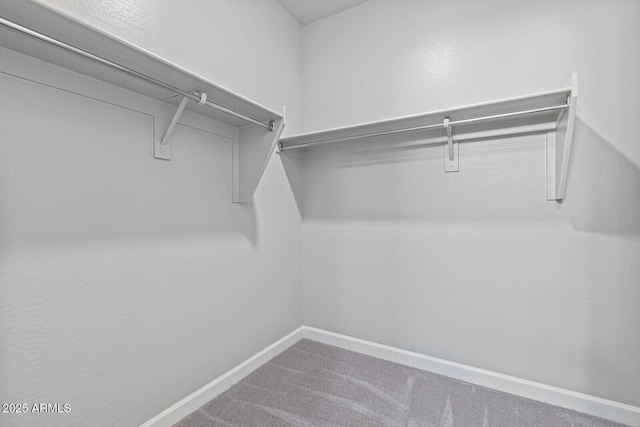 21047 N 58th Way, Phoenix, AZ 85054 - spacious closet with carpet floors