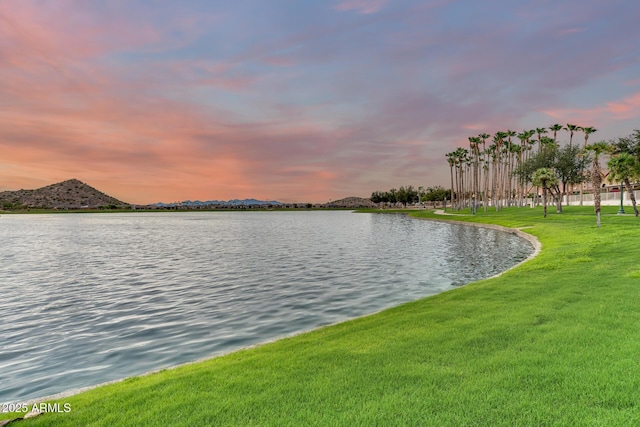 18103 W Canyon Ln, Goodyear, AZ 85338 - view of water feature