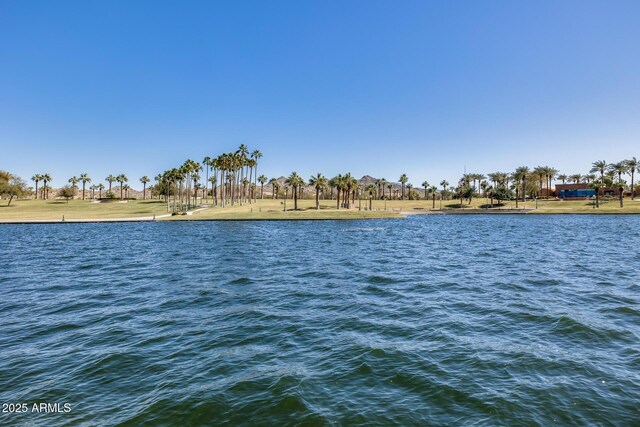 18103 W Canyon Ln, Goodyear, AZ 85338 - view of water feature