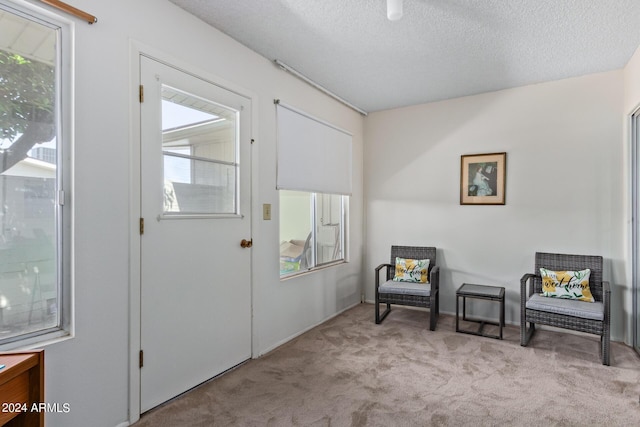 sitting room featuring a textured ceiling and carpet floors