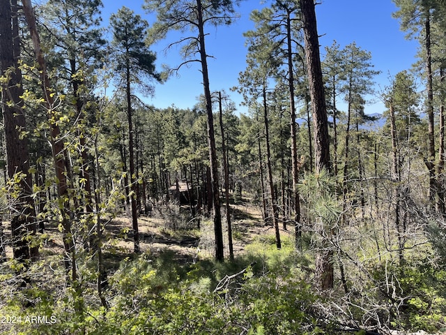 view of local wilderness