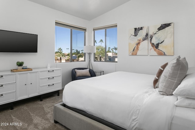 bedroom with lofted ceiling and dark colored carpet