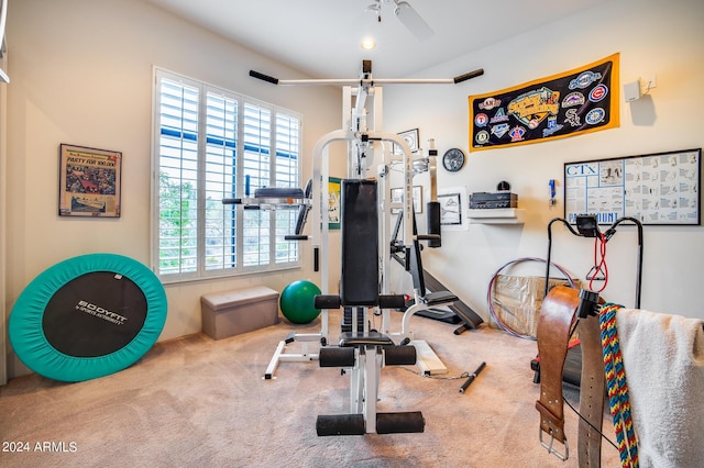 workout area featuring carpet and ceiling fan