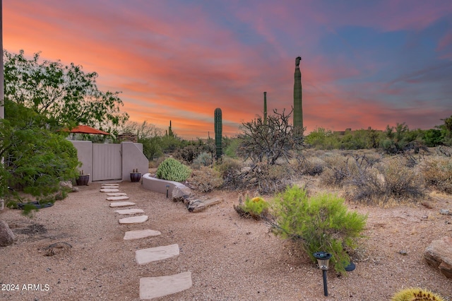 view of yard at dusk