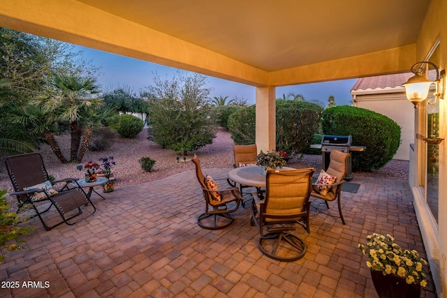 view of patio / terrace with grilling area and outdoor dining area