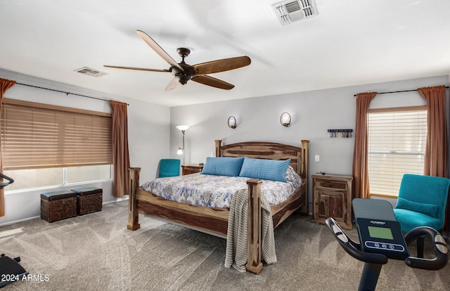 4321 E Morenci Rd, San Tan Valley, AZ 85143 - carpeted bedroom with ceiling fan