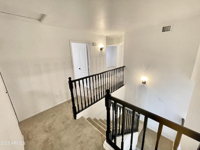 stairway featuring carpet floors