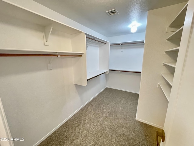 walk in closet featuring carpet flooring