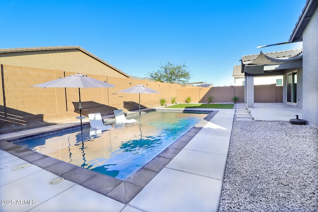 view of pool featuring a patio