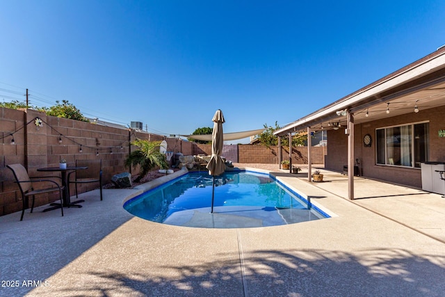 view of pool featuring a patio, a fenced backyard, and a fenced in pool