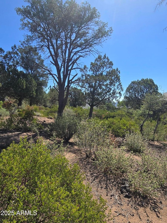 1103 N Scenic Dr Unit 107, Payson, AZ 85541