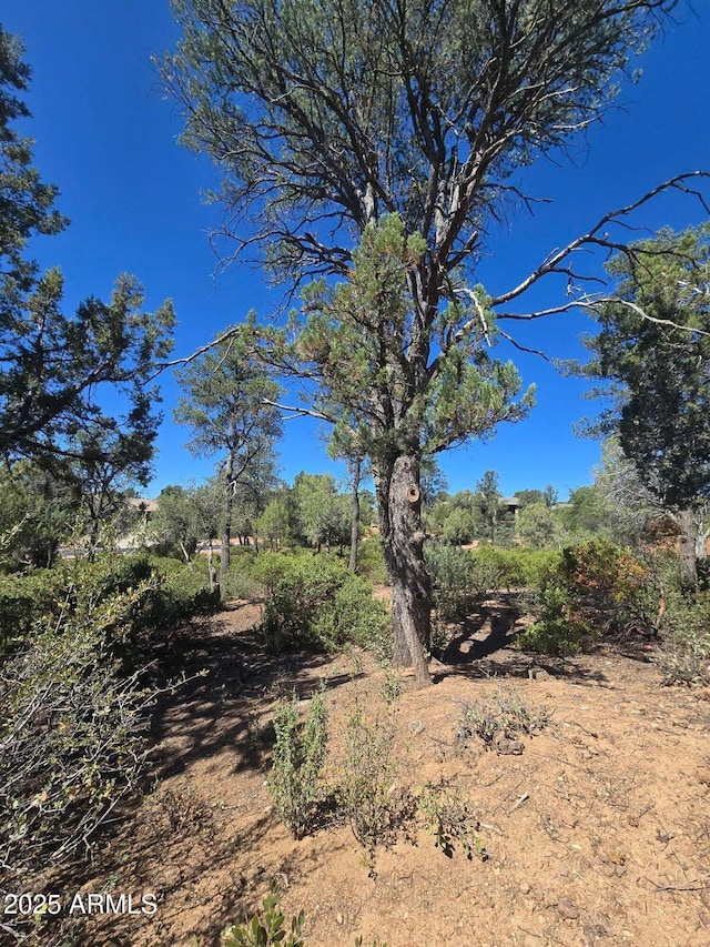 1103 N Scenic Dr Unit 107, Payson, AZ 85541