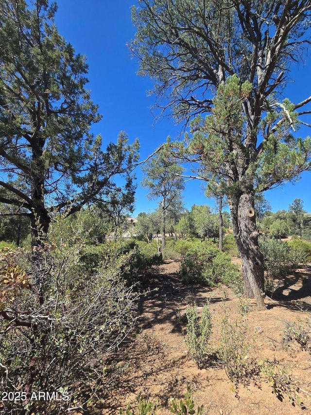 1103 N Scenic Dr Unit 107, Payson, AZ 85541