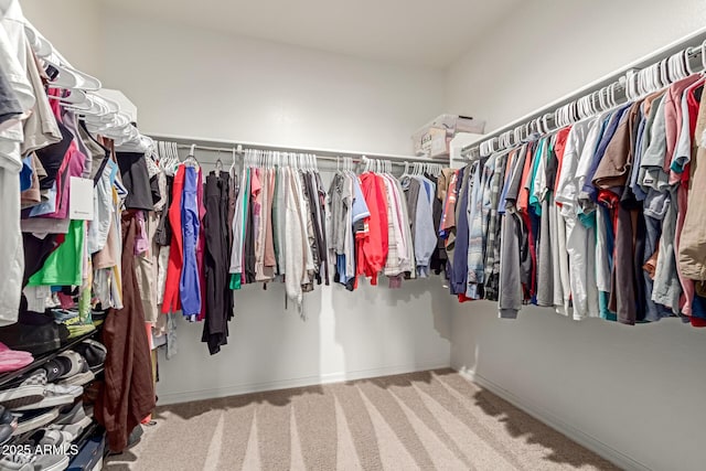 5875 N 195th Dr, Litchfield Park, AZ 85340 - walk in closet with carpet