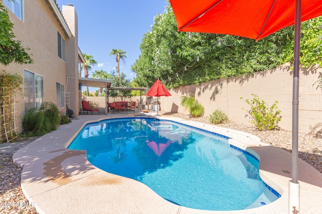 view of pool featuring a patio area