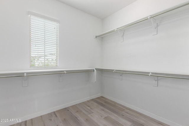 walk in closet with light wood-type flooring