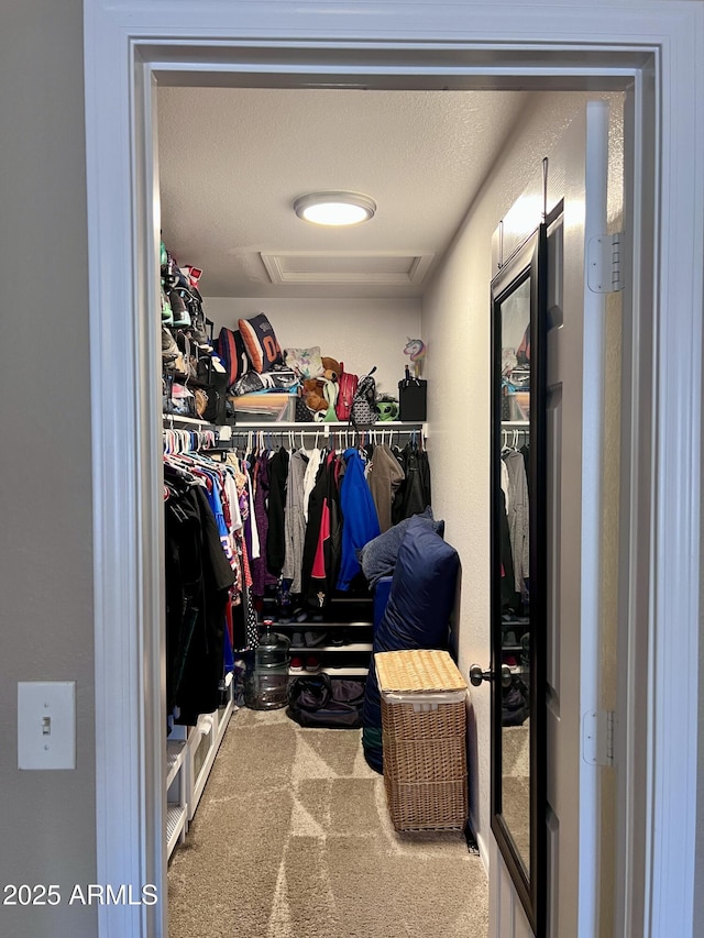 6049 S Wilson Dr, Chandler, AZ 85249 - walk in closet with carpet flooring
