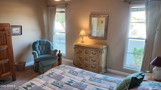 bedroom with carpet floors and multiple windows