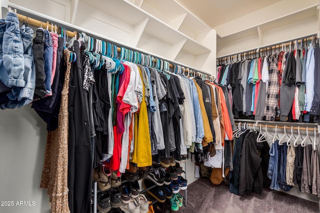 walk in closet featuring carpet