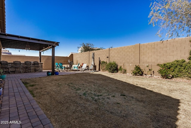 view of yard featuring a patio area