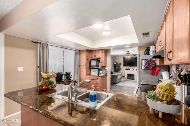19258 N 20th Dr, Phoenix, AZ 85027 - kitchen featuring a sink, under cabinet range hood, a tray ceiling, and visible vents