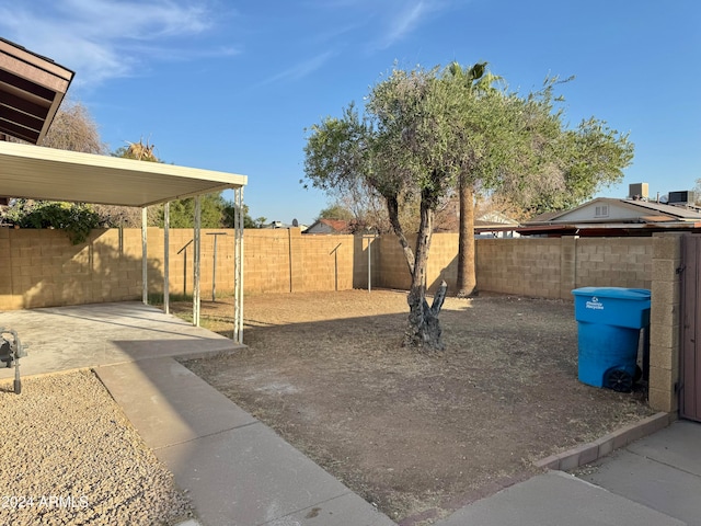 view of yard with a patio