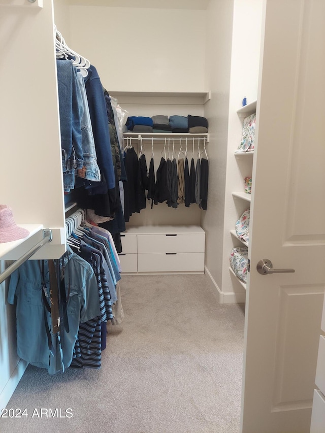 spacious closet featuring carpet flooring