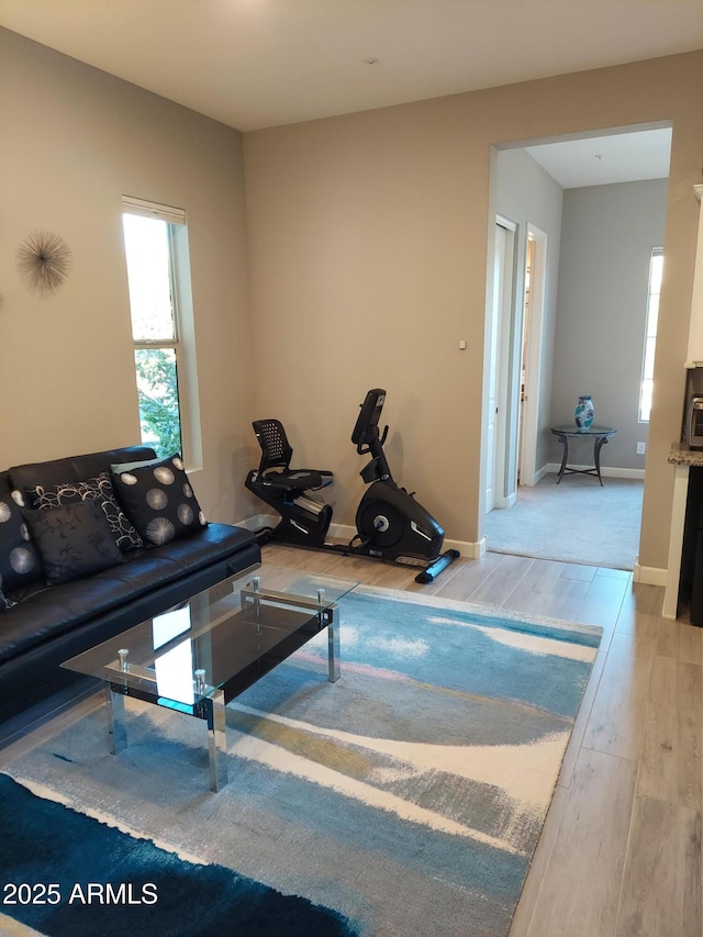 living room featuring hardwood / wood-style flooring