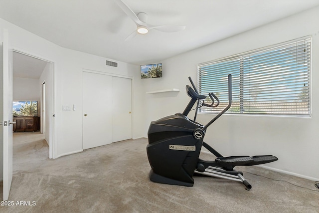 4563 E Libby St, Phoenix, AZ 85032 - exercise room featuring carpet flooring and a ceiling fan