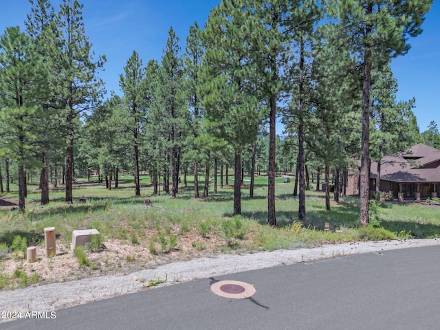 Listing photo 3 for 1948 E Bare Oak Loop Unit 115, Flagstaff AZ 86005