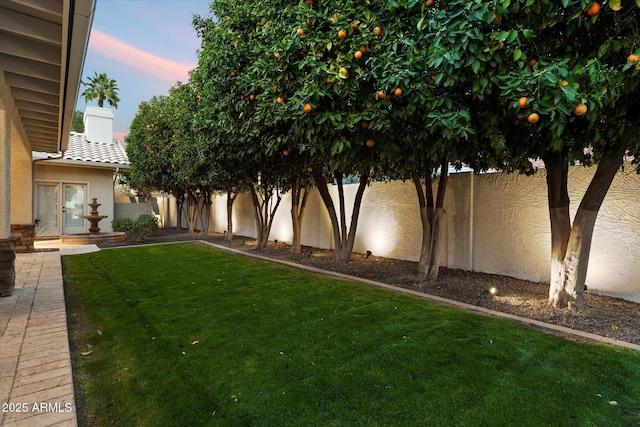 view of yard with a fenced backyard